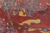 Polished Mookaite Jasper Slab - Australia #166042-1